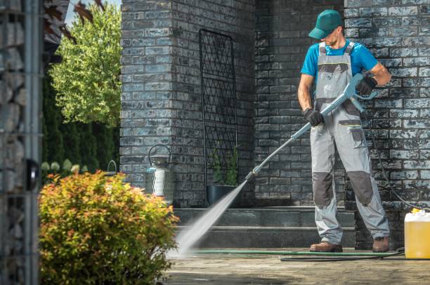 Best Roof Washing  in Mount Pleasant, TX