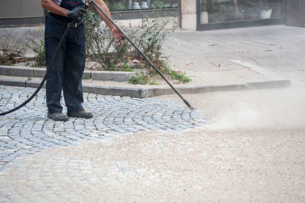 Best Sidewalk and Walkway Cleaning  in Mount Pleasant, TX