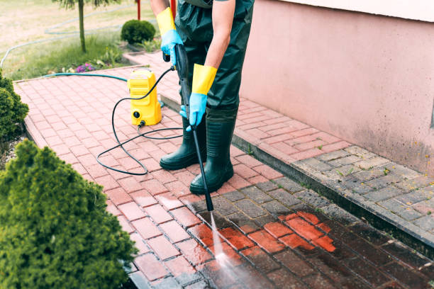 Best Solar Panel Cleaning  in Mount Pleasant, TX