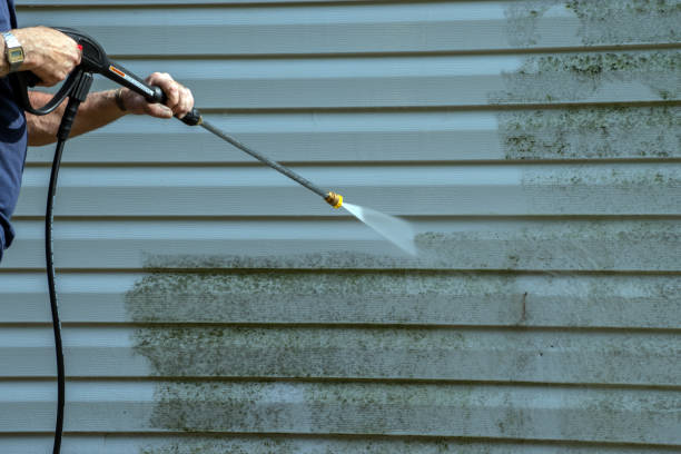 Professional Pressure washing in Mount Pleasant, TX