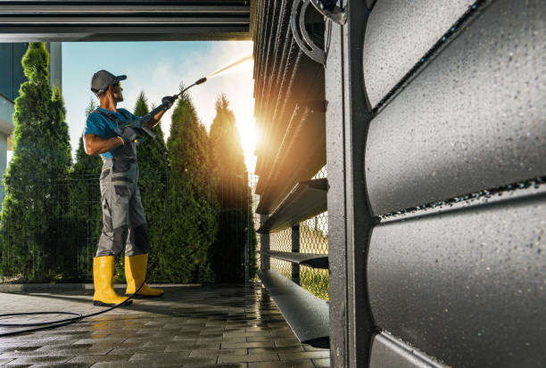 Best Gutter Cleaning  in Mount Pleasant, TX